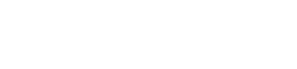 logo-30-annni